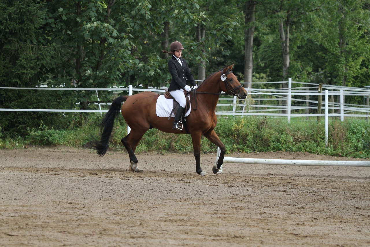 Bild 187 - WBO-Turnier am 18.9.11